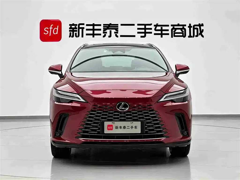 Lexus RX New Energy — миниатюра 2