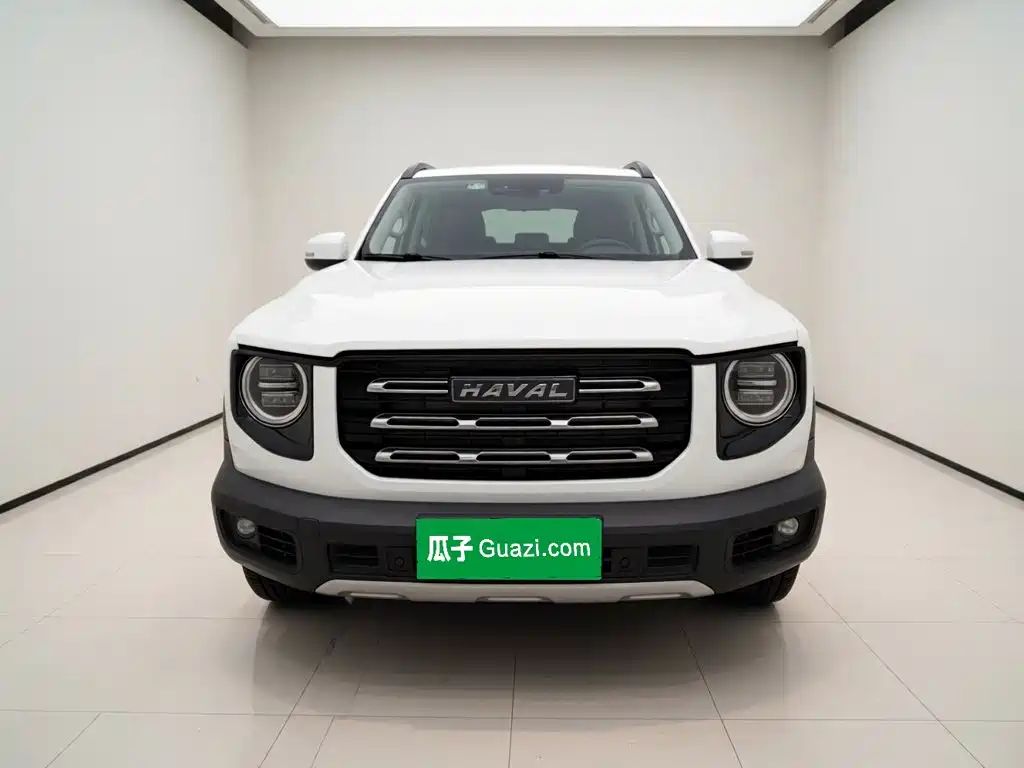 Haval Big Dog — миниатюра 24