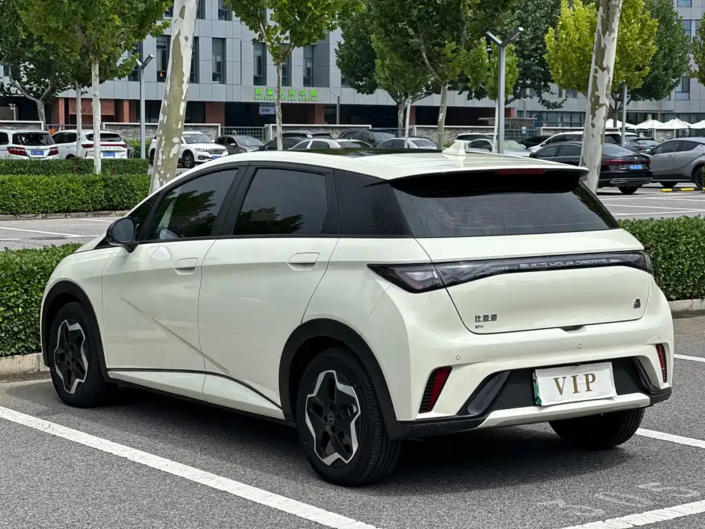 BYD Dolphin — миниатюра 6