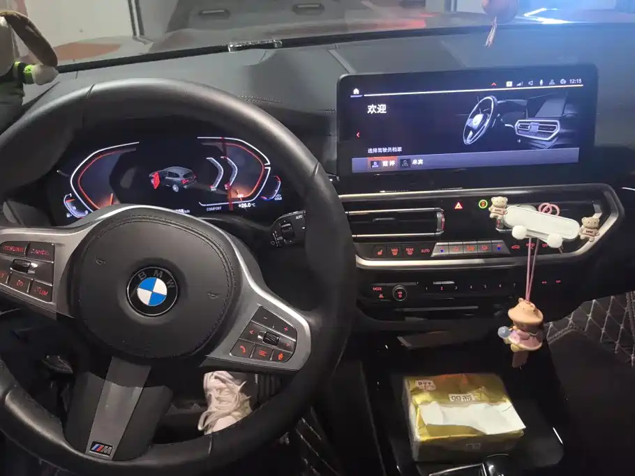 BMW X3 — миниатюра 12