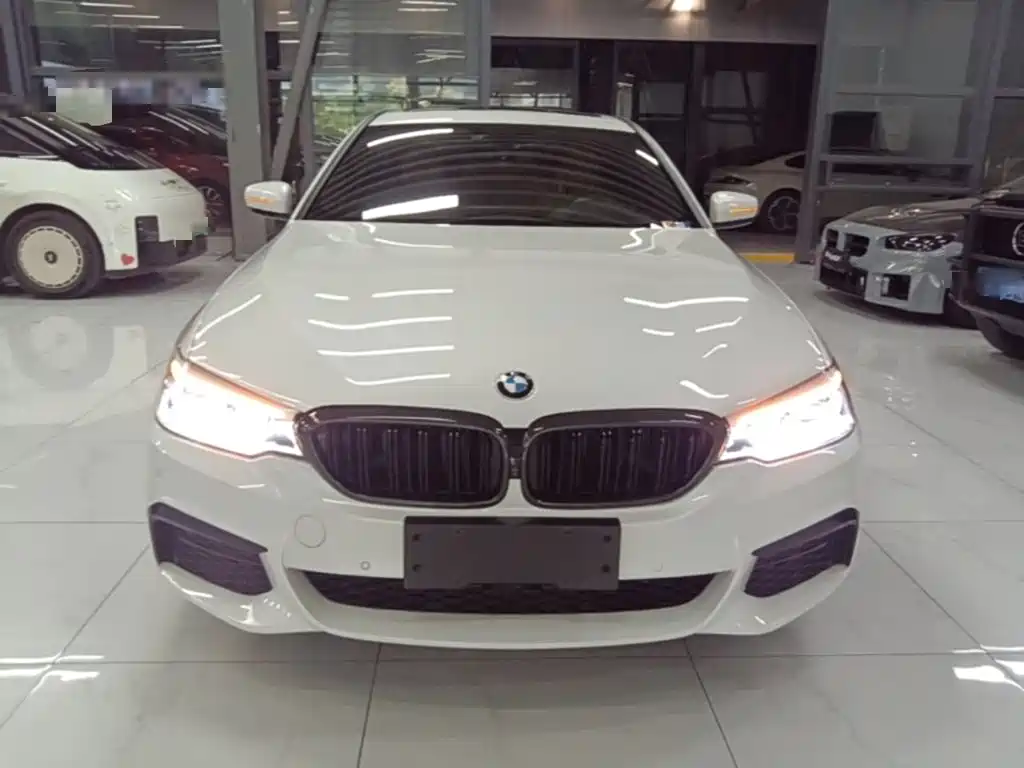 BMW 5 Series — миниатюра 3