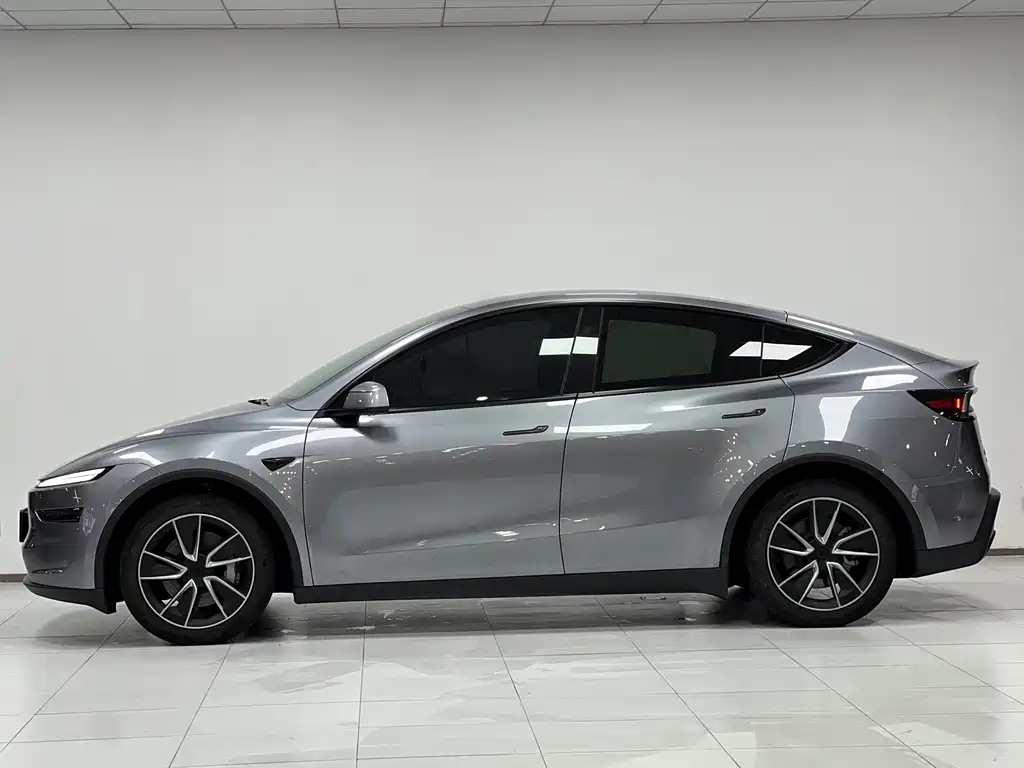 Tesla Model Y — миниатюра 4