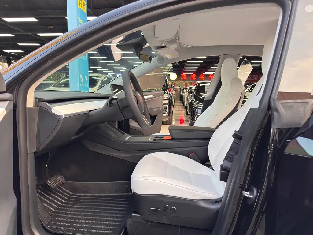 Tesla Model Y — миниатюра 12