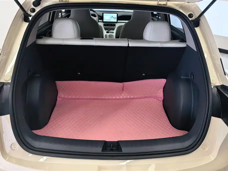 Geely Geome Xingyuan 2025 310km