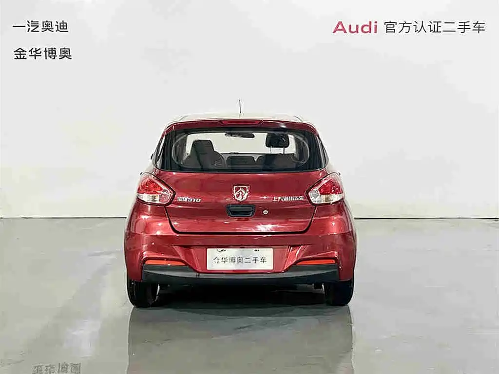 BAOJUN 310