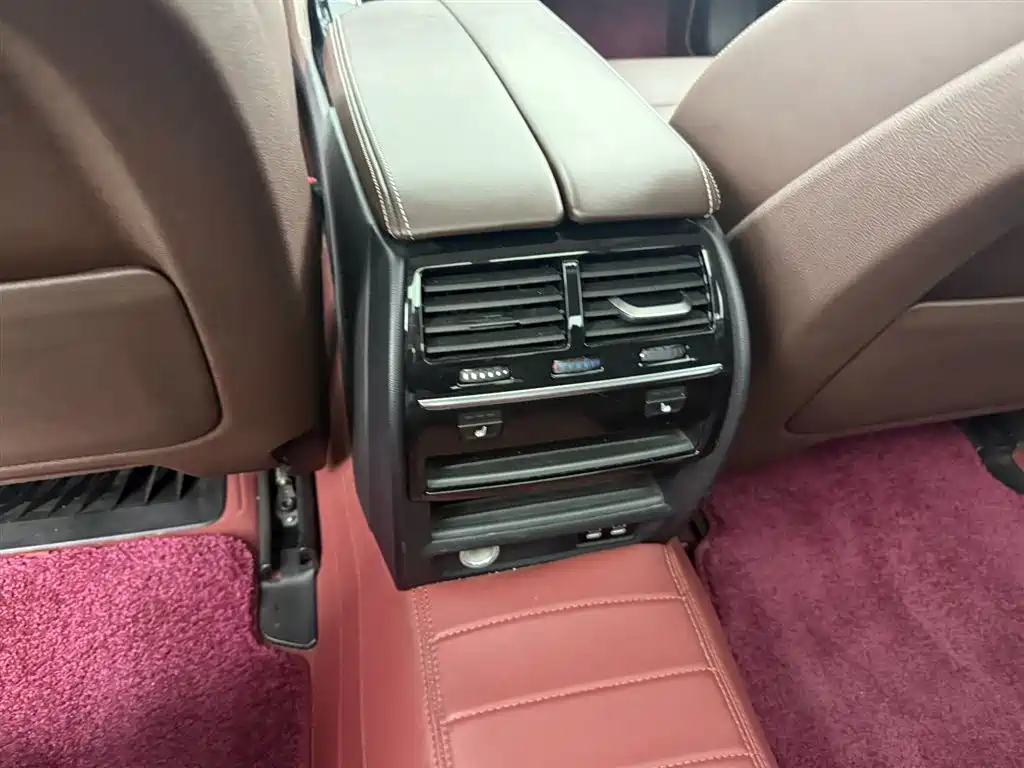 BMW 5 Series 5 2020 530Li Lead Luxury