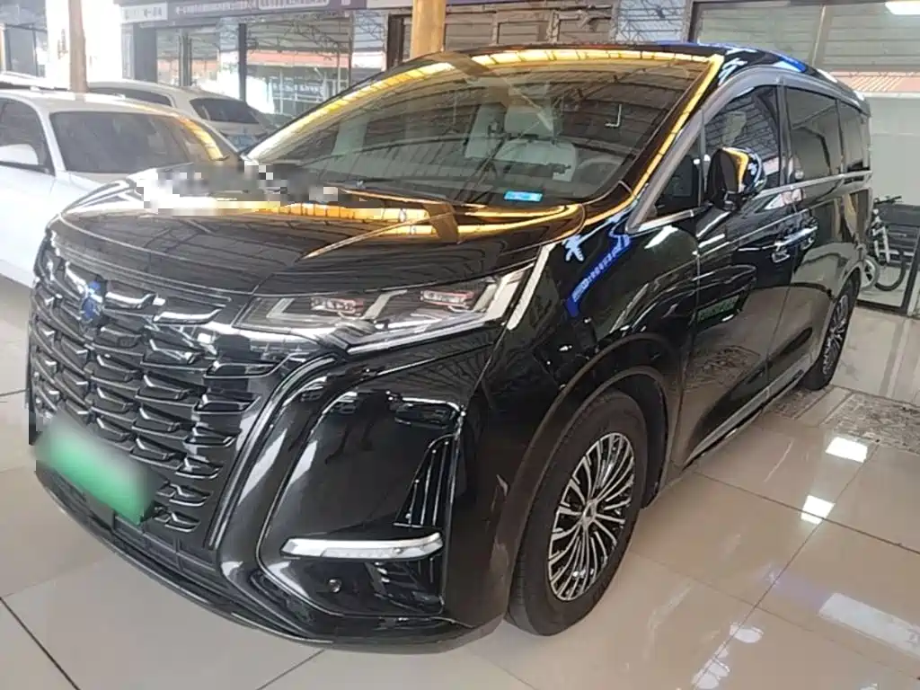 Denza Denza D9