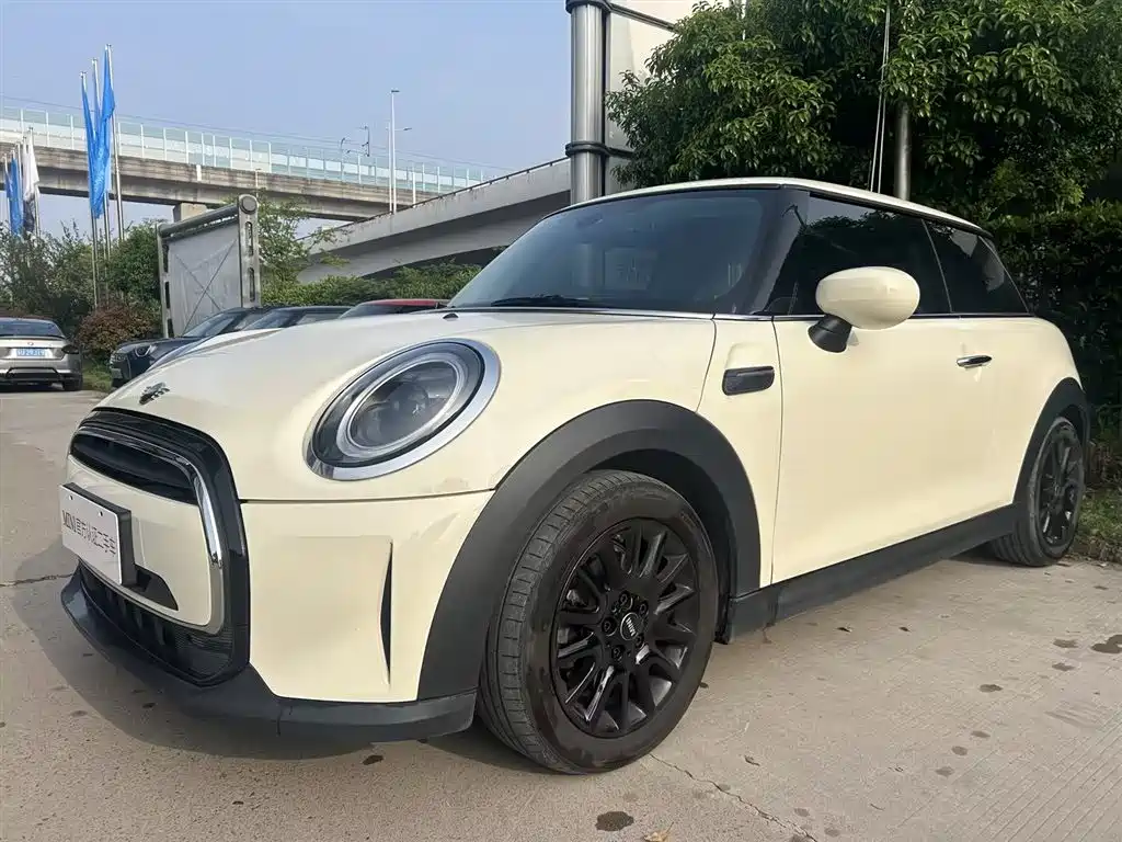 Mini Mini 2022