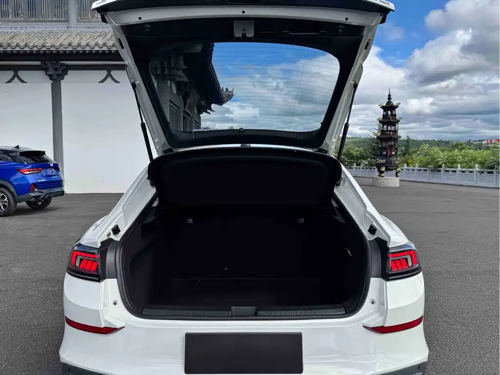 Volkswagen Lamando — миниатюра 20