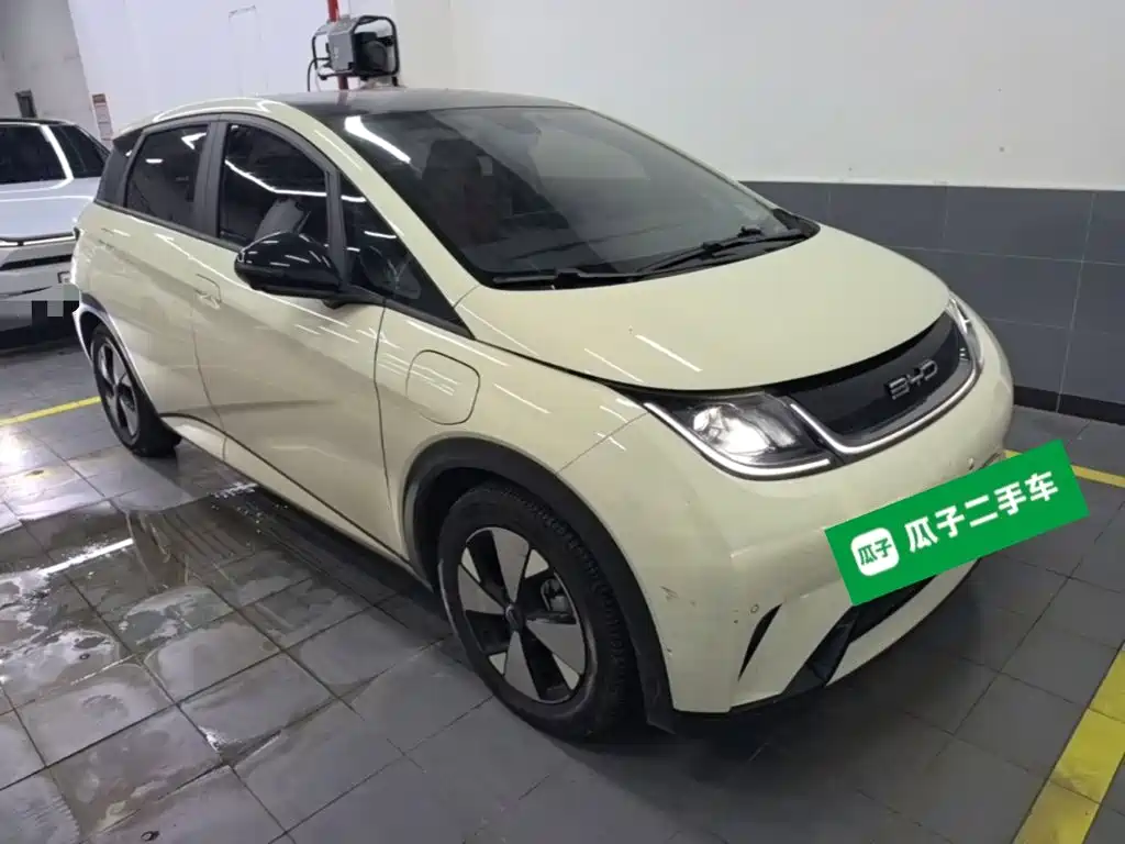BYD Dolphin — миниатюра 4