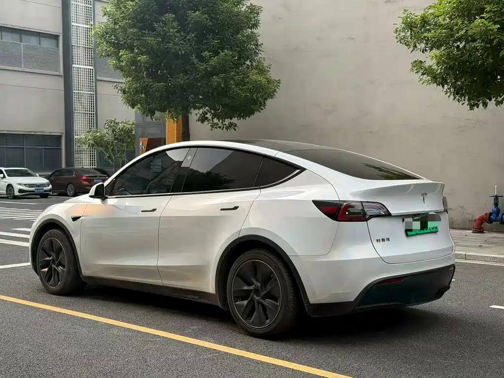 Tesla Model Y — миниатюра 6