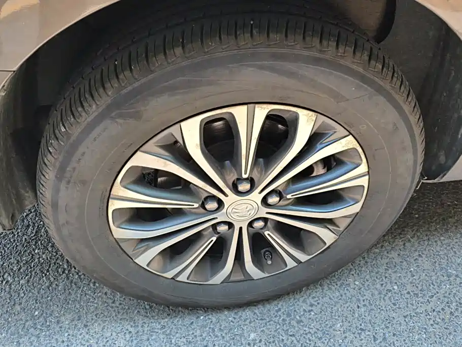 Buick GL8 — миниатюра 6