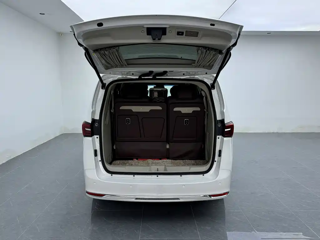 Buick GL8 — миниатюра 16