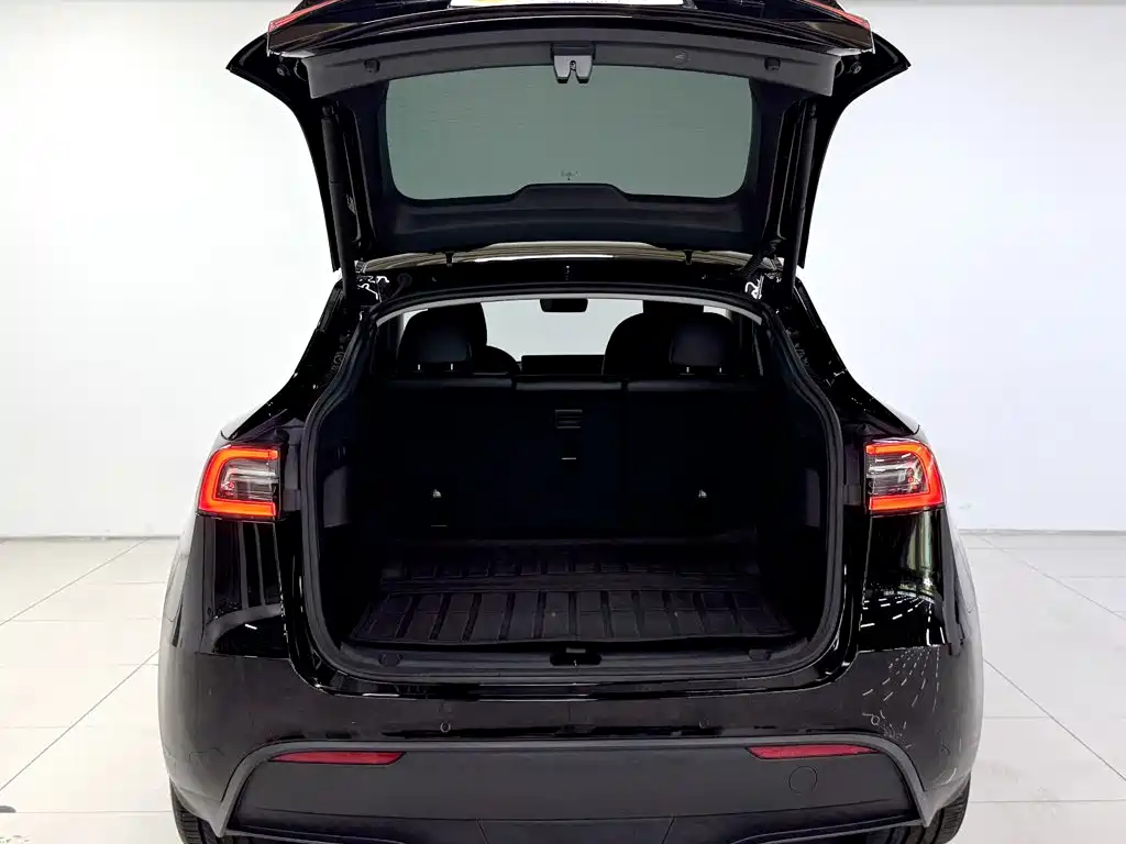 Tesla Model Y — миниатюра 5