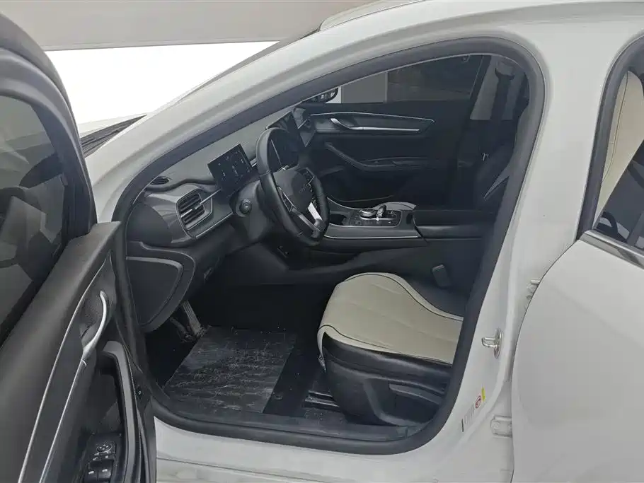 BYD Destroyer 05 2024 DM-i 55KM Luxury