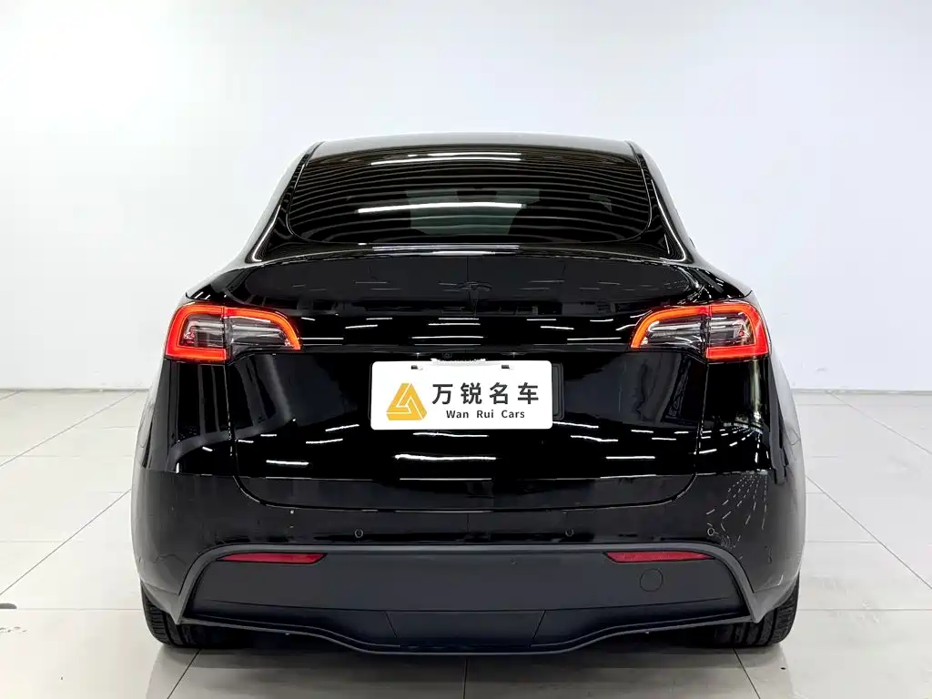 Tesla Model Y — миниатюра 4