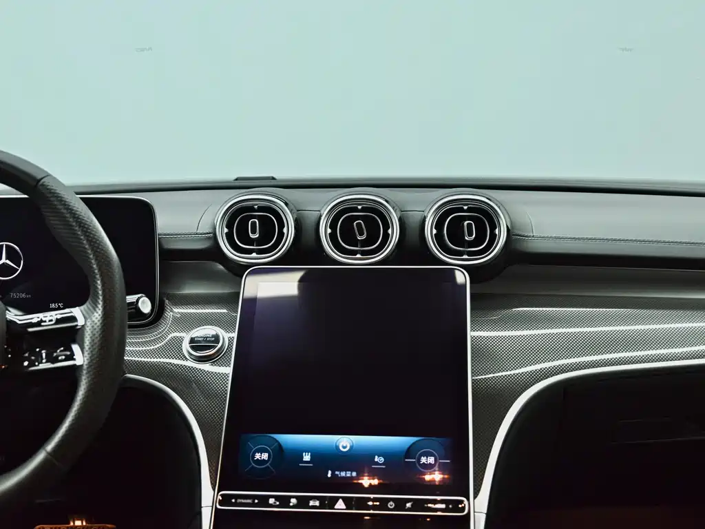 Mercedes-Benz C-Class New Energy — миниатюра 12