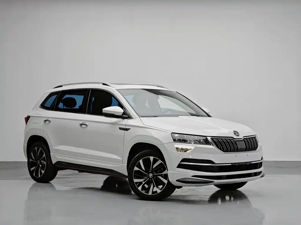 Skoda Karoq — миниатюра 3