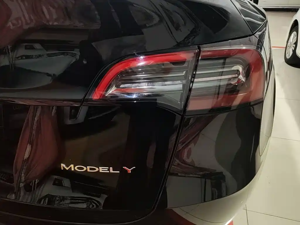 Tesla Model Y — миниатюра 8