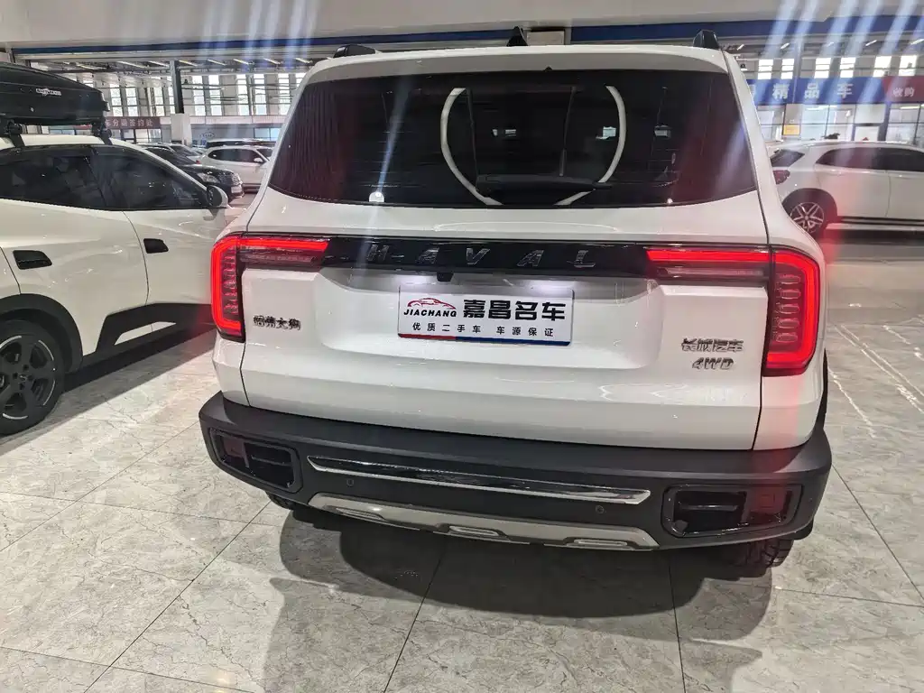 HAVAL BIG DOG