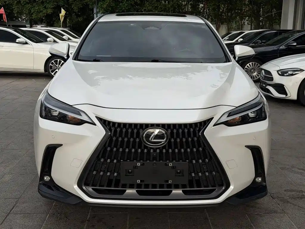 Lexus NX — миниатюра 2