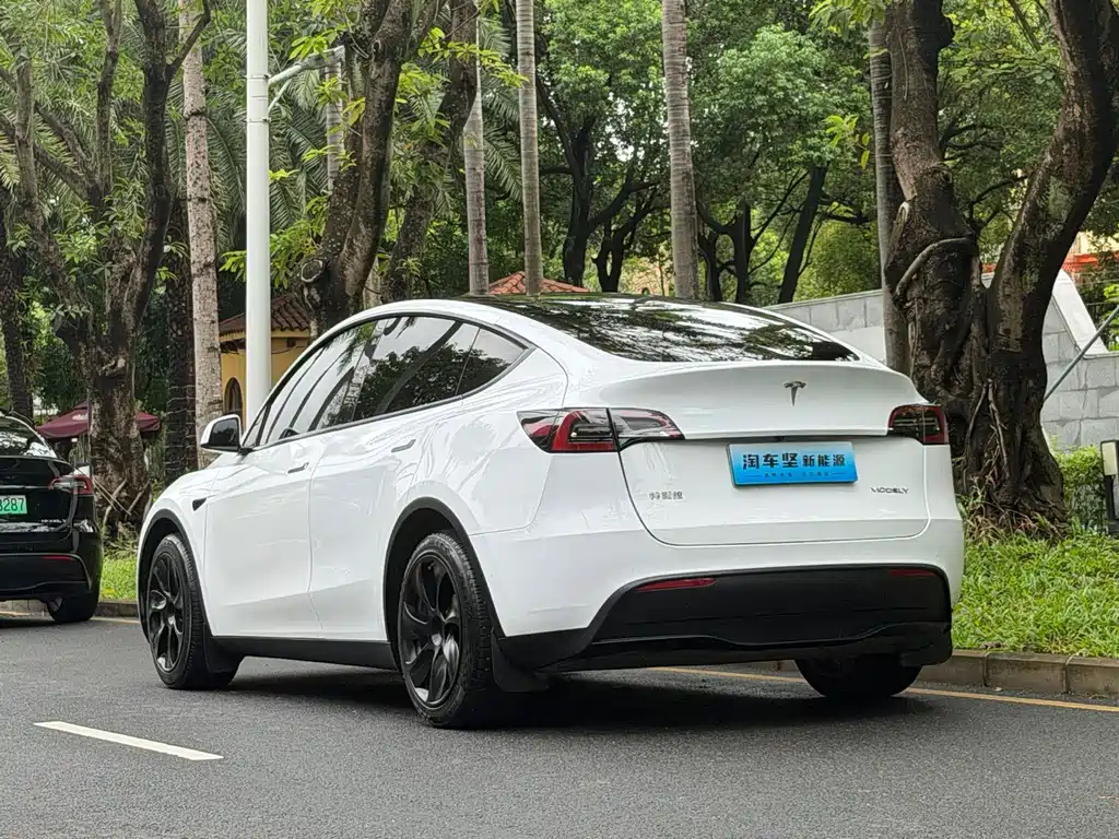 Tesla Model Y — миниатюра 3