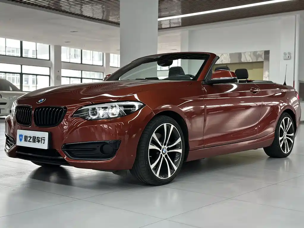 BMW 2 Series (Import) 2019