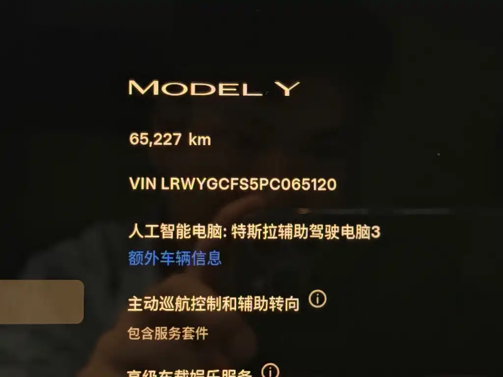 Tesla Model Y — миниатюра 7