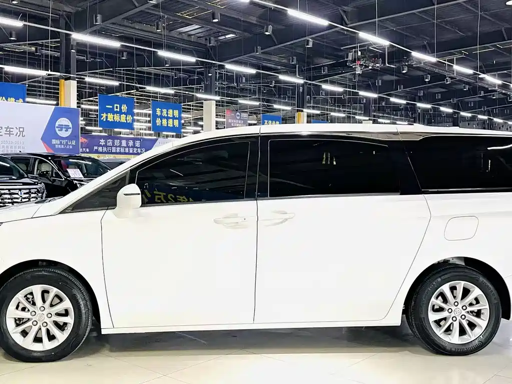 Buick GL8 — миниатюра 4