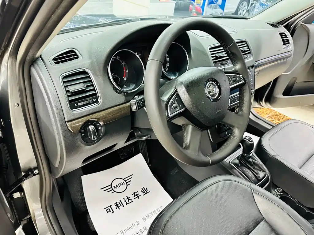 Skoda Yeti 1.8TSI DSG Wild Drive Edition, фото 39