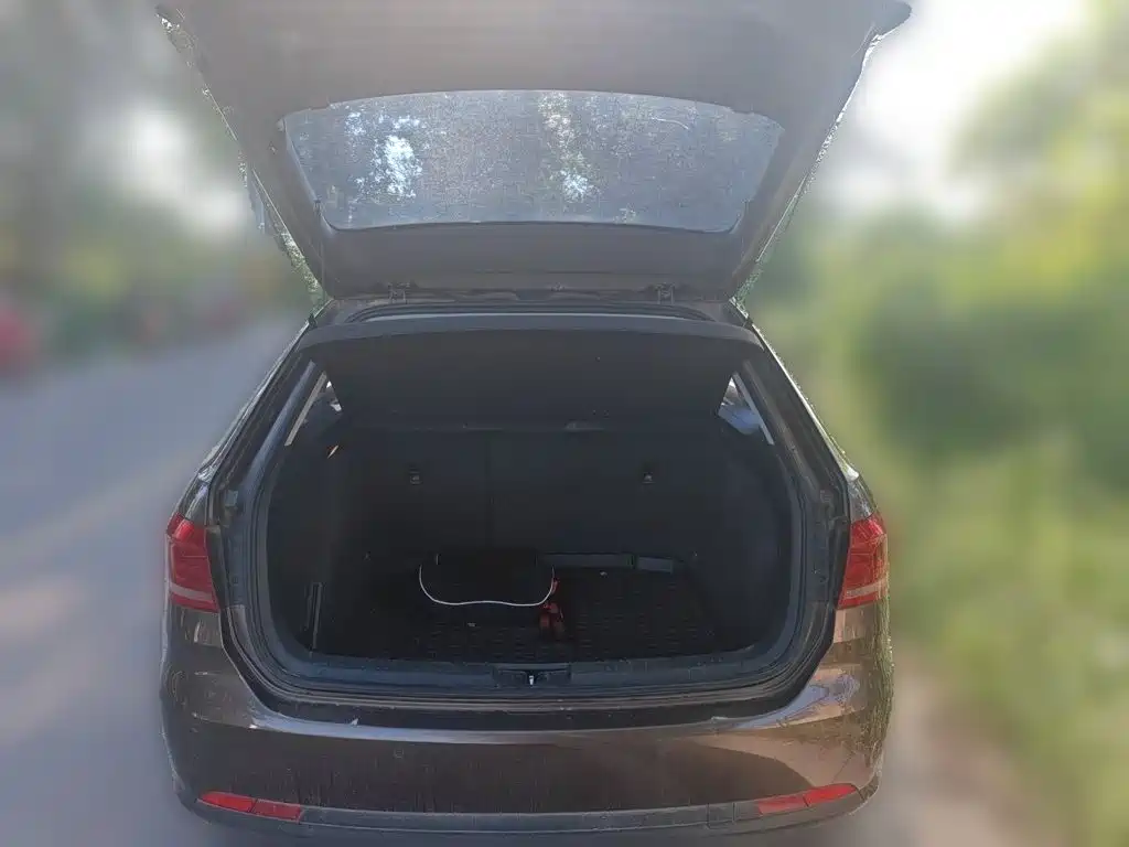 Volkswagen Gran Lavida — миниатюра 20