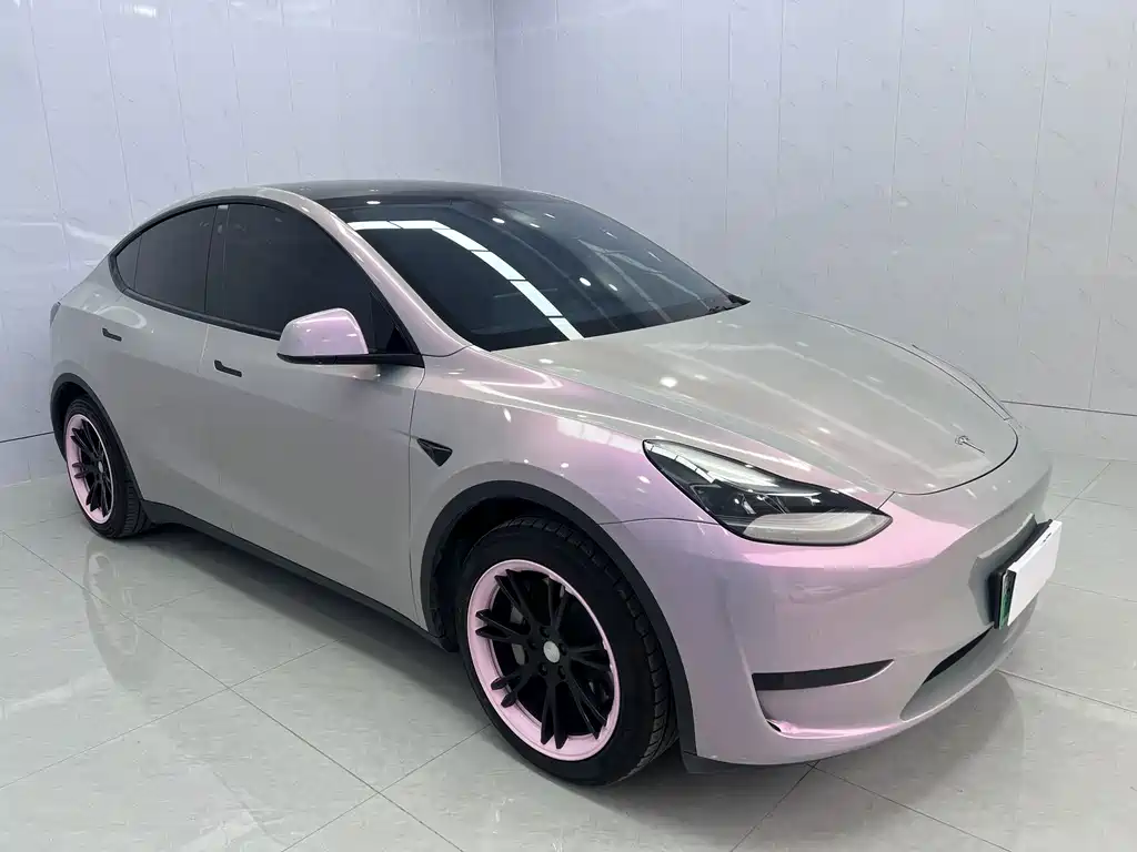 Tesla Model Y — миниатюра 6