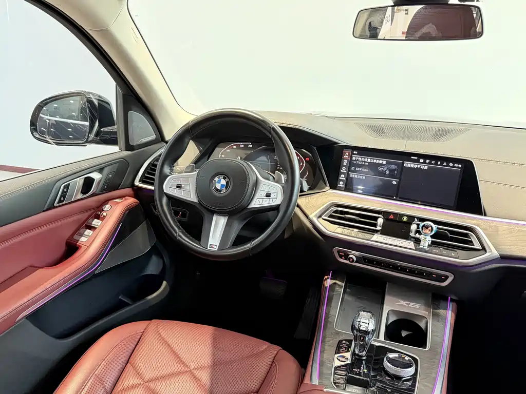 BMW X5 — миниатюра 15