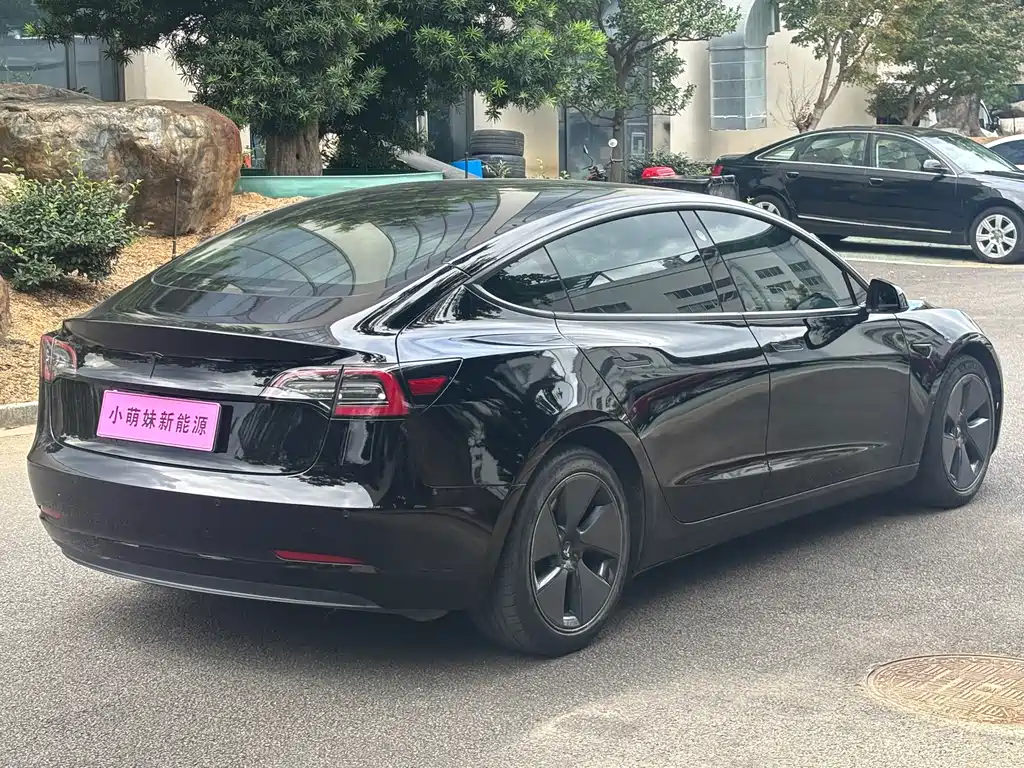 Tesla Model 3 — миниатюра 20