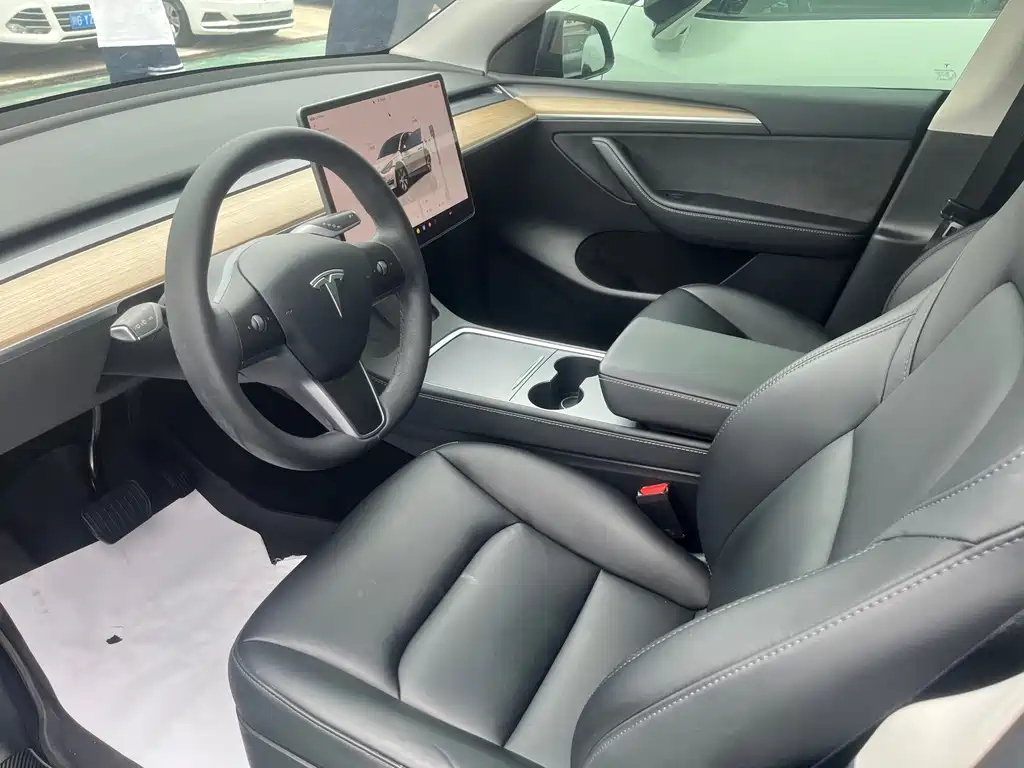 Tesla Model Y — миниатюра 4