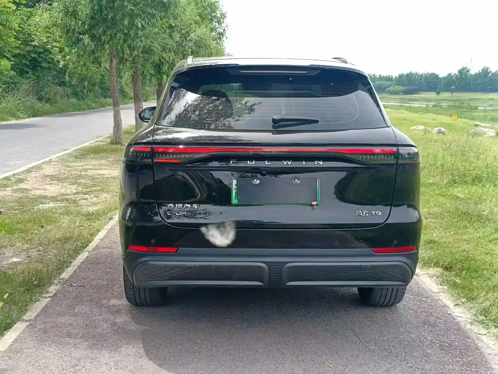 Fulwin Fengyun T9 — миниатюра 8