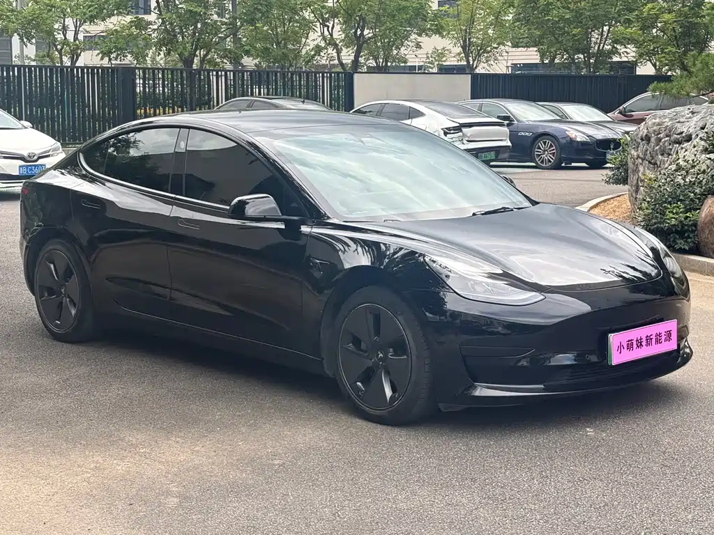 Tesla Model 3 — миниатюра 3