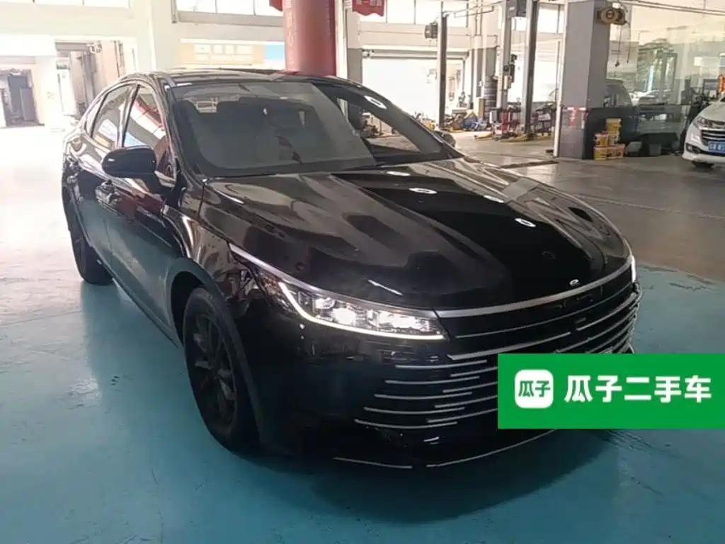 BYD Destroyer 05 2024 DM-i 55KM Luxury