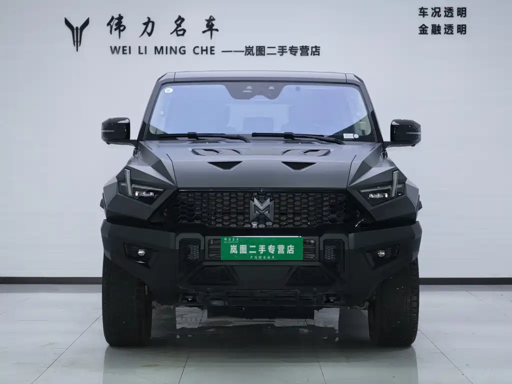Mengshi Mengshi 917 — миниатюра 2