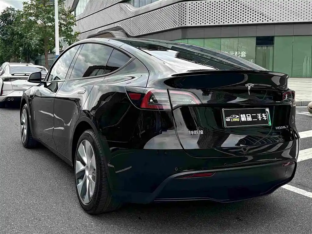 Tesla Model Y — миниатюра 9