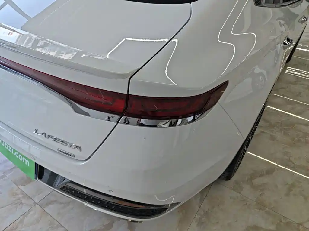 Hyundai Fista — миниатюра 8