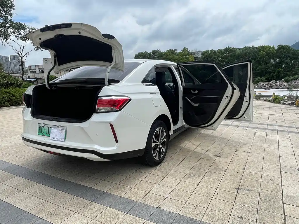 Venucia D60 EV — миниатюра 12
