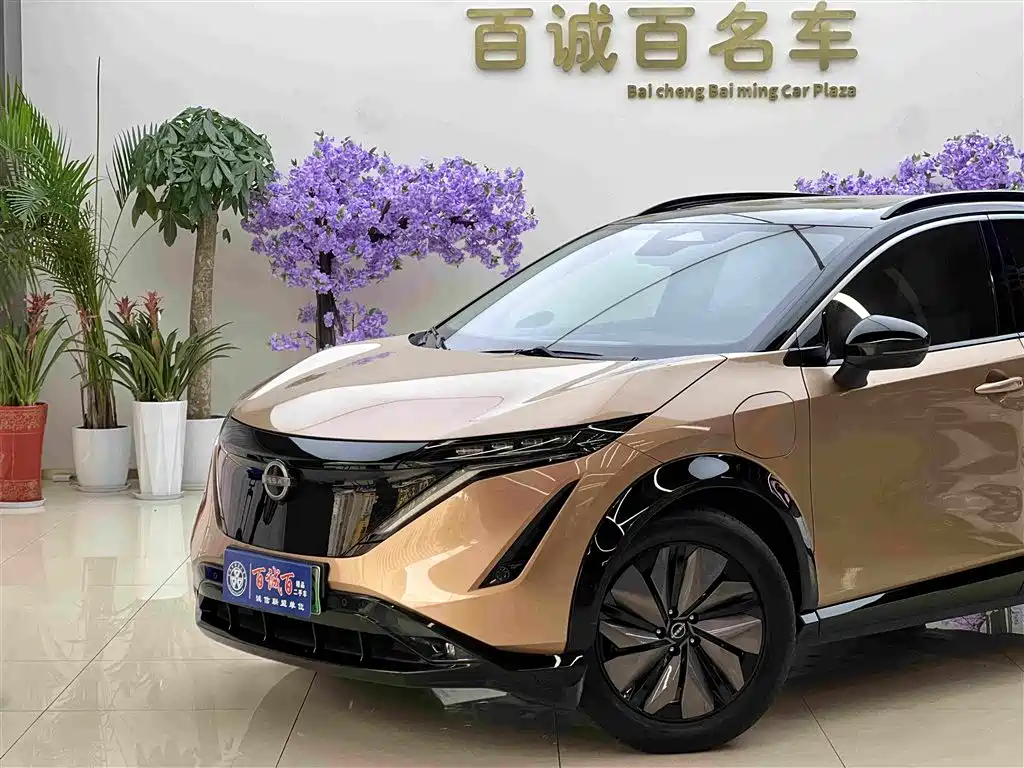 Nissan Ariya — миниатюра 2