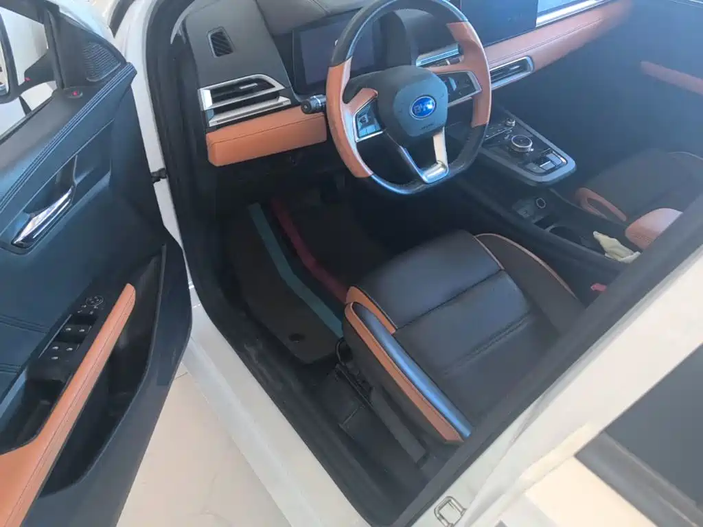 BYD e2 — миниатюра 16