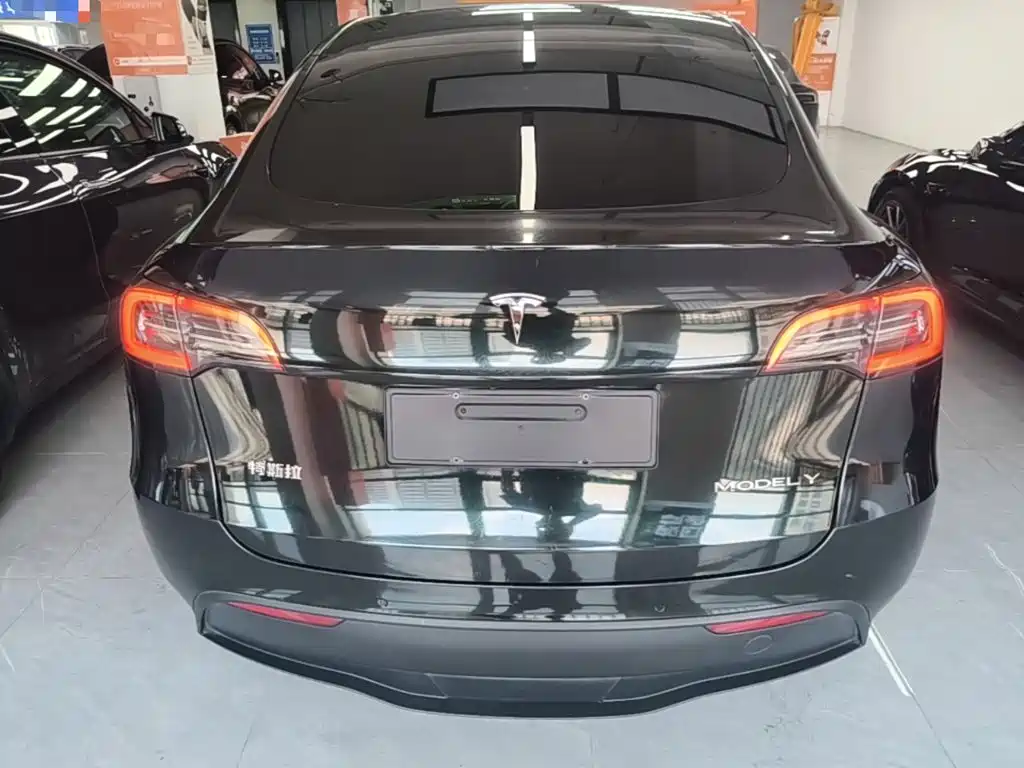 Tesla Model Y — миниатюра 6