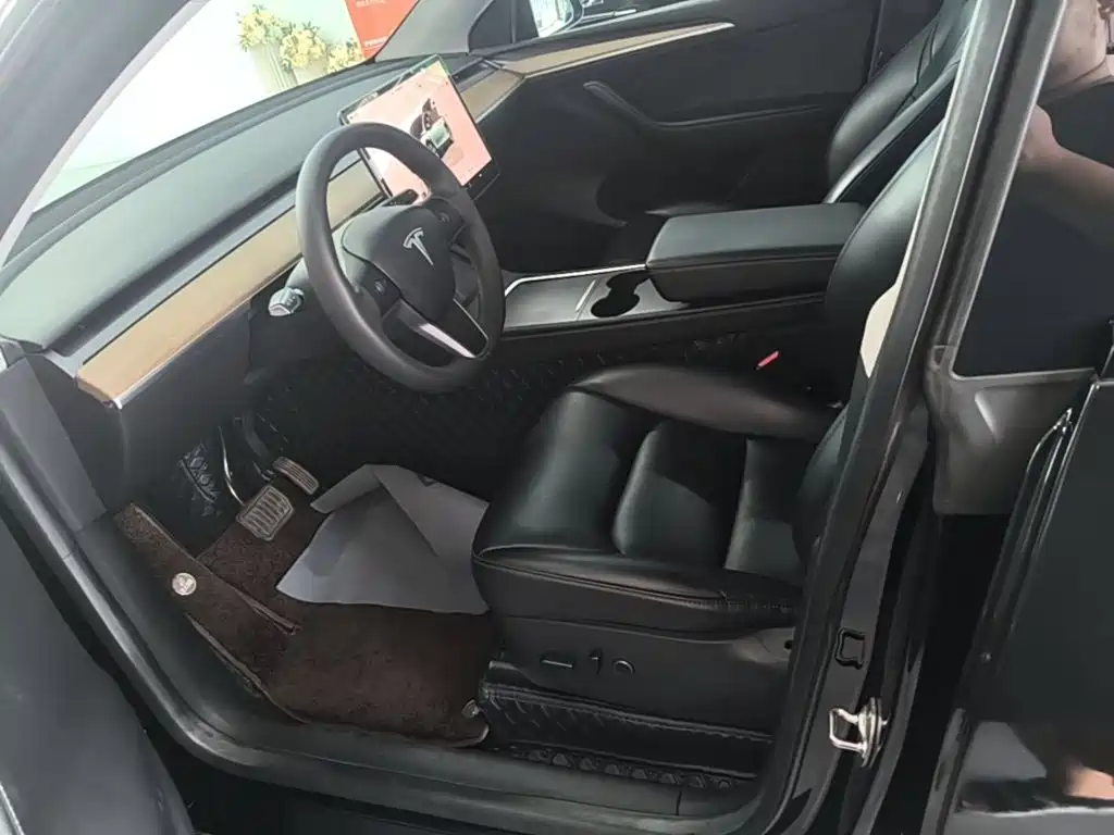 Tesla Model Y — миниатюра 15