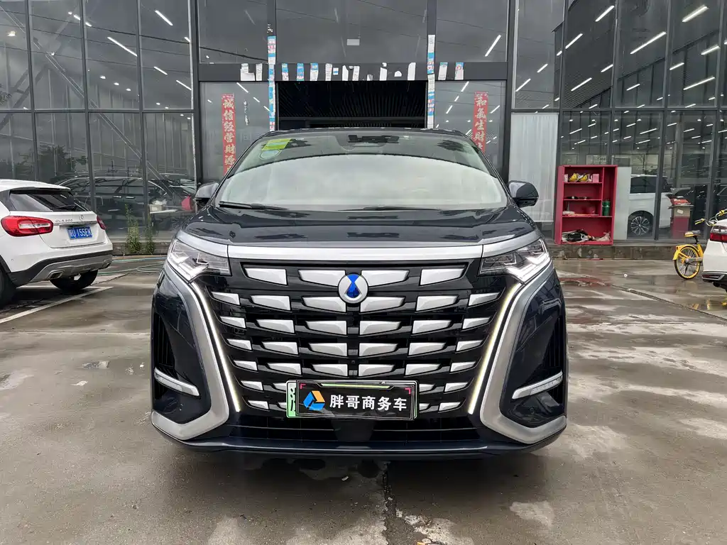 Denza Denza D9 — миниатюра 2