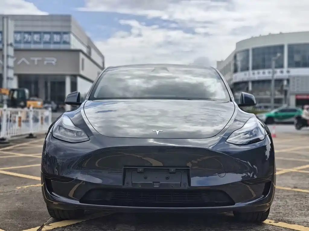 Tesla Model Y — миниатюра 2