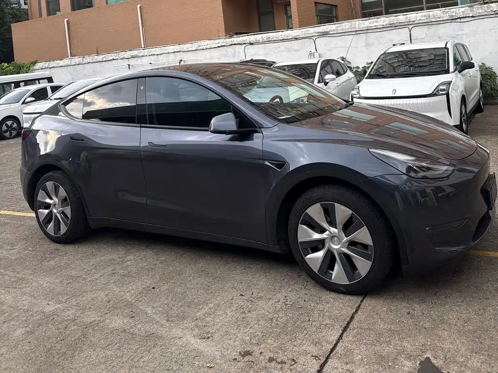 Tesla Model Y — миниатюра 3