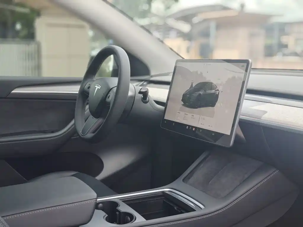 Tesla Model Y — миниатюра 10